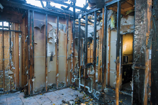 Professional Structural Rebuild technician working in Jerseyville, IL